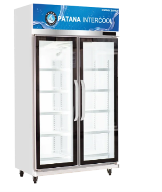 ຕູ້ແຊ່ເຢັນ PATANA 2 DOORS 2-LS 760L(27 ຄິວ)